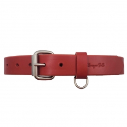 Hundehalsband Leder Rot  - Rotes Halsband für Hunde - Lederhalsband Rot