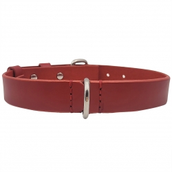 Hundehalsband Leder Rot  - Rotes Halsband für Hunde - Lederhalsband Rot