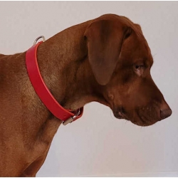 Hundehalsband Leder Rot  - Rotes Halsband für Hunde - Lederhalsband Rot