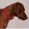 Hundehalsband Leder Rot  - Rotes Halsband für Hunde - Lederhalsband Rot