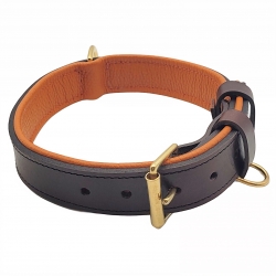 Hundehalsband Leder Braun  - Orange mit Messing. Lederhalsband für Hund Dunkelbraun