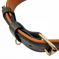 Hundehalsband Leder Grün Halsband für große Hunde. Breite Hundehalsband  aus Leder in Grün