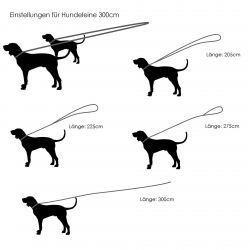 Hundeleine verstellbar aus Leder in Schwarz mit Beschlägen aus Messing
