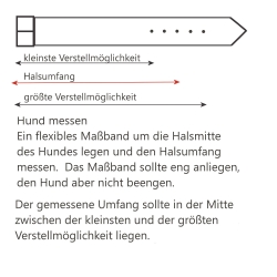 Hundehals messen