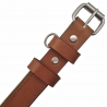 Hundehalsband aus Leder in Cognac Braun. Lederhalsband Hund